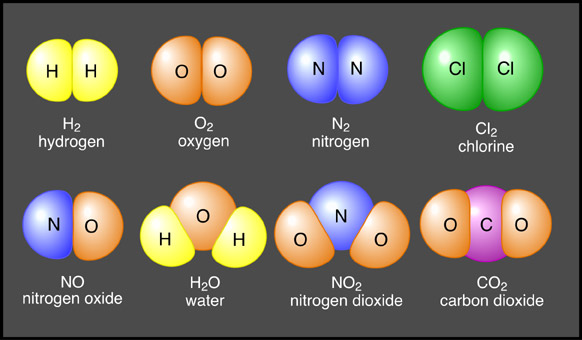 Molecules and Compounds : Anatomy & Physiology